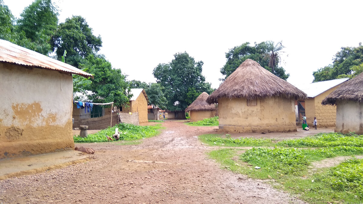 вот так выглядит гвинейская деревня