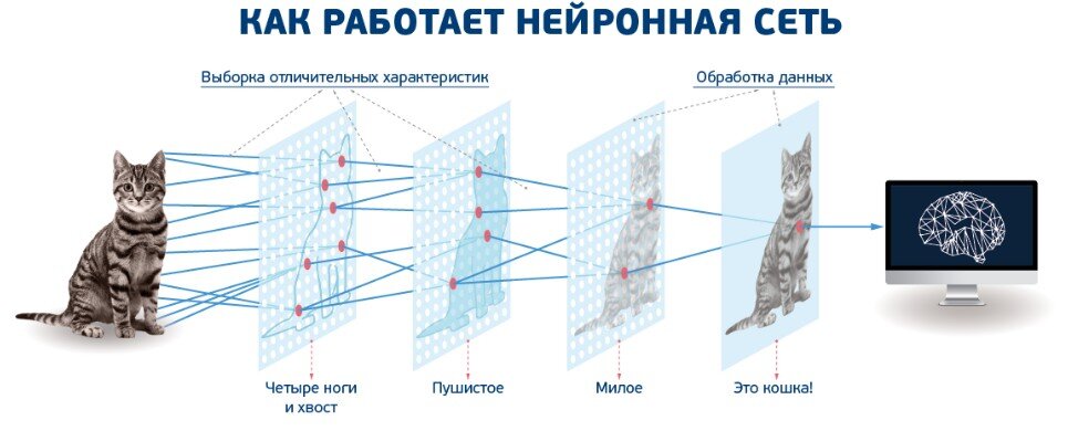 Обучение нейросети