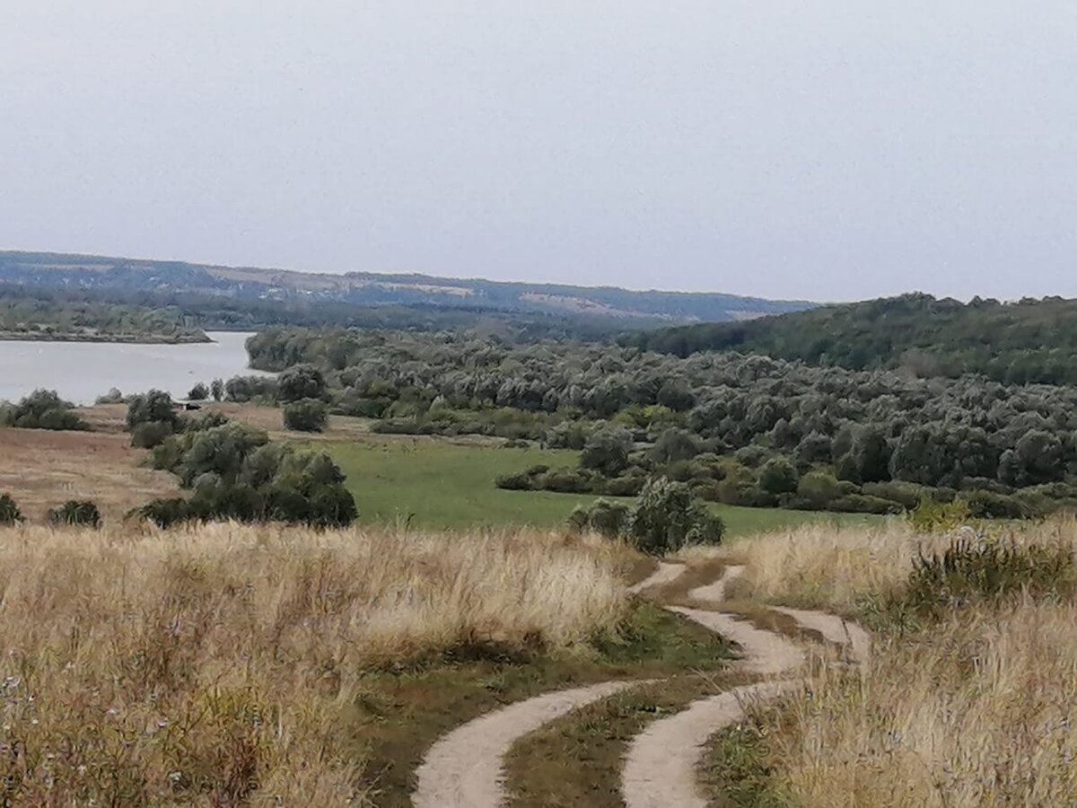 княжна гора демянский район