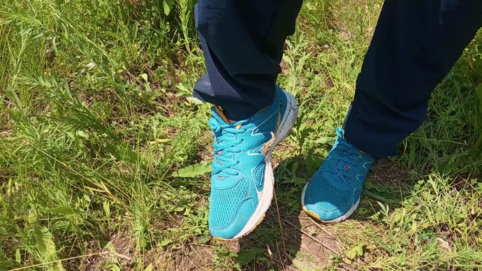 видео автора