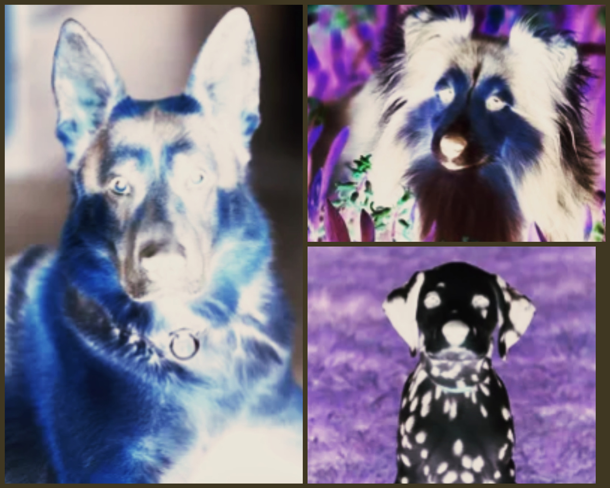 Не считайте, что это негатив ...