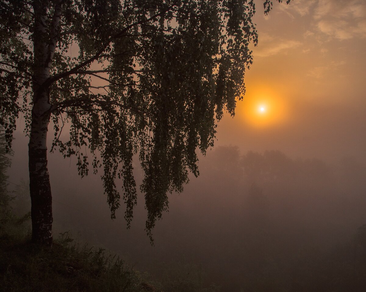 Как я провёл лето .Рассказываю и показываю лучшие фотографии | Люблю жизнь  и фотографирую | Дзен