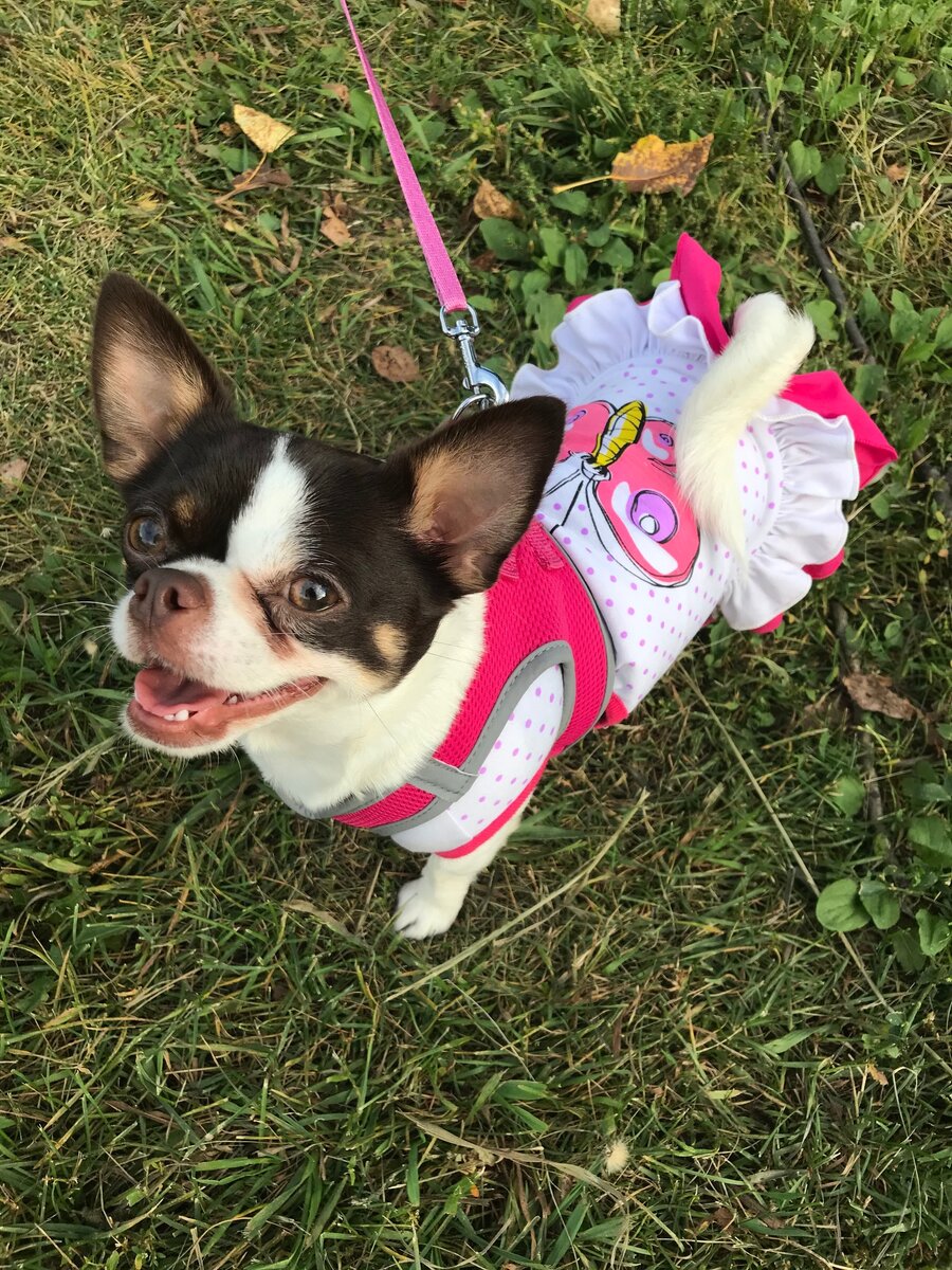 Платье стоит 500 р , так же у неё новая гонка в ней очень удобно , она мягкая и не тянет 