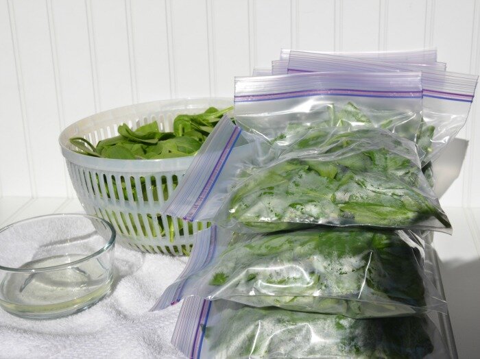 фото из поисковой системы