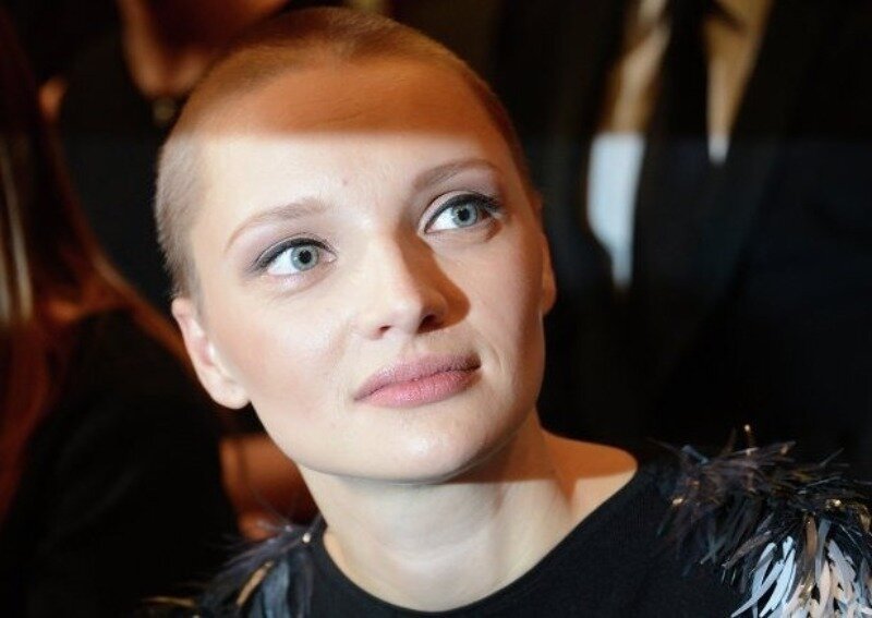 Источник фото https://shnyagi.net/264004-Zvezdnye-krasotki-pobrivshiesja-radi-roli.html