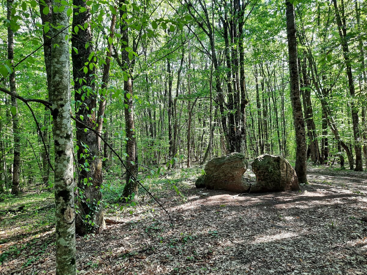 Прогуливаясь по лесу можно натолкнуться на древние сооружения - дольмены. По сей день доподлинно не известно, чем по-сути они являются. Жилищем, или гробницами. В любом случае прикоснуться к древности дорогого стоит
