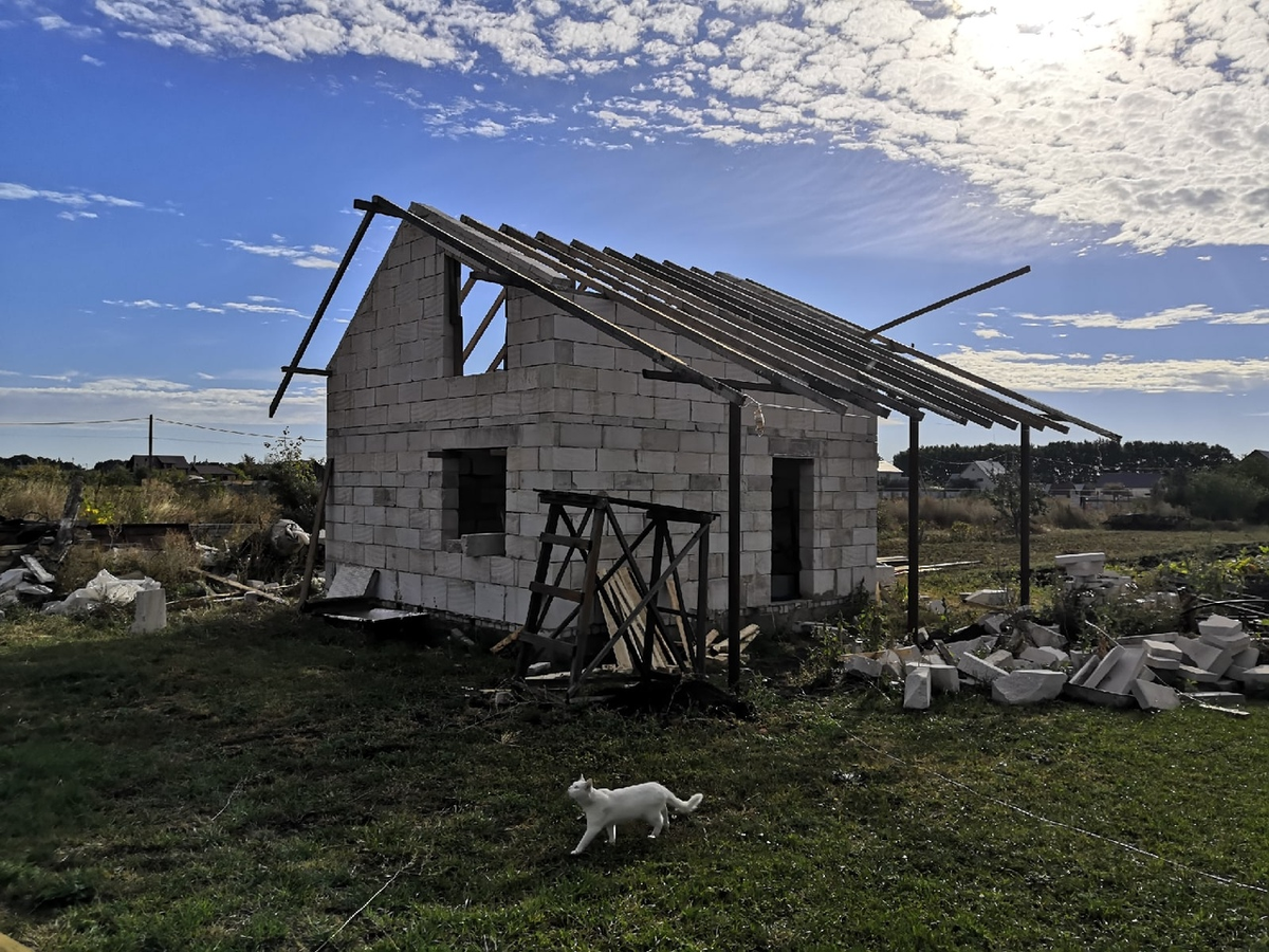 Вот так выглядит моя баня на данный момент. Кот проходил мимо :)