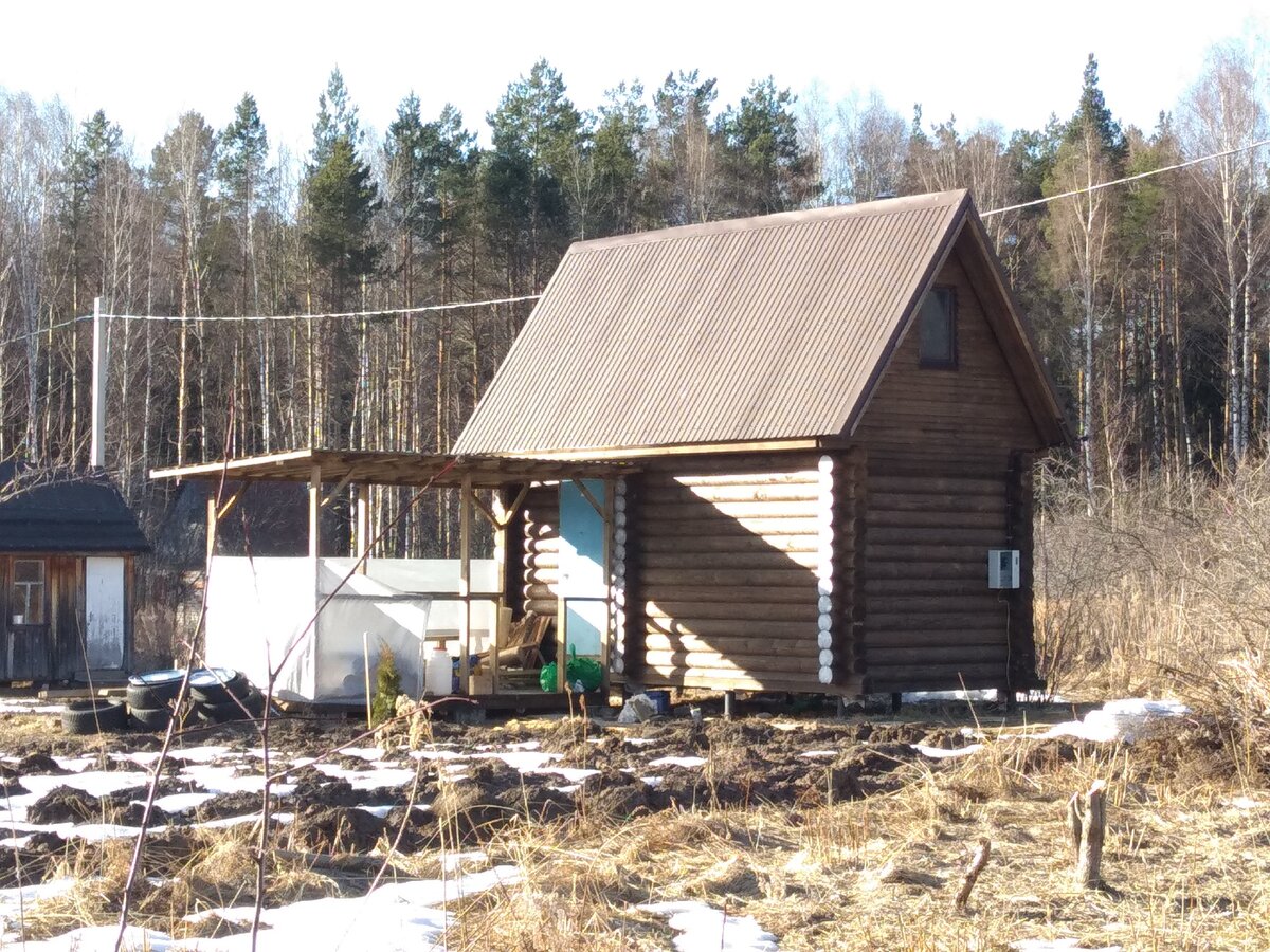 5 месяцев с постройки бани