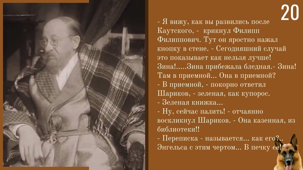 Кто впервые в повести назвал пса шариком. Цитаты Преображенского Собачье сердце. Собачье сердце высказывание. Цитаты из собачьего сердца. Фразы из собачьего сердца.