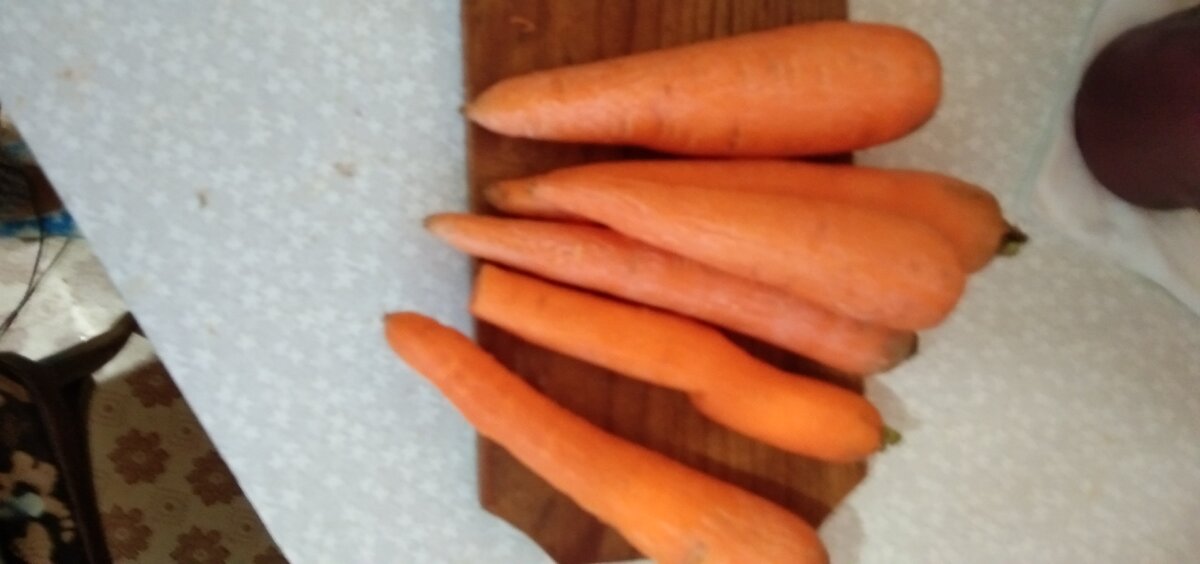 Морковь способ хранения.