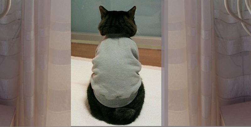 Если кто-то ждёт кого-то…