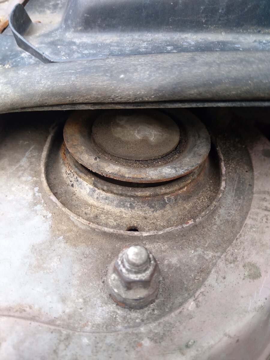 сделано в Италии, 2019 г.