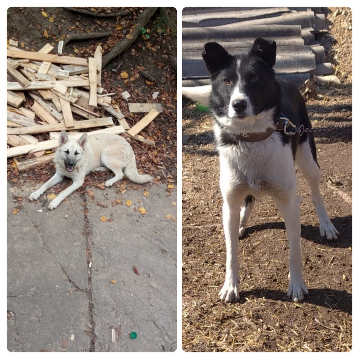 Ляля и Фатя. 