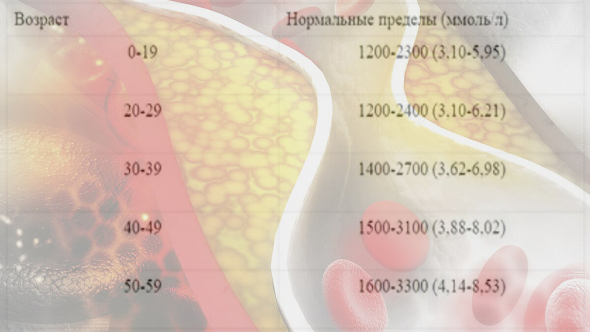 Таблица нормы холестерина в зависимости от возраста