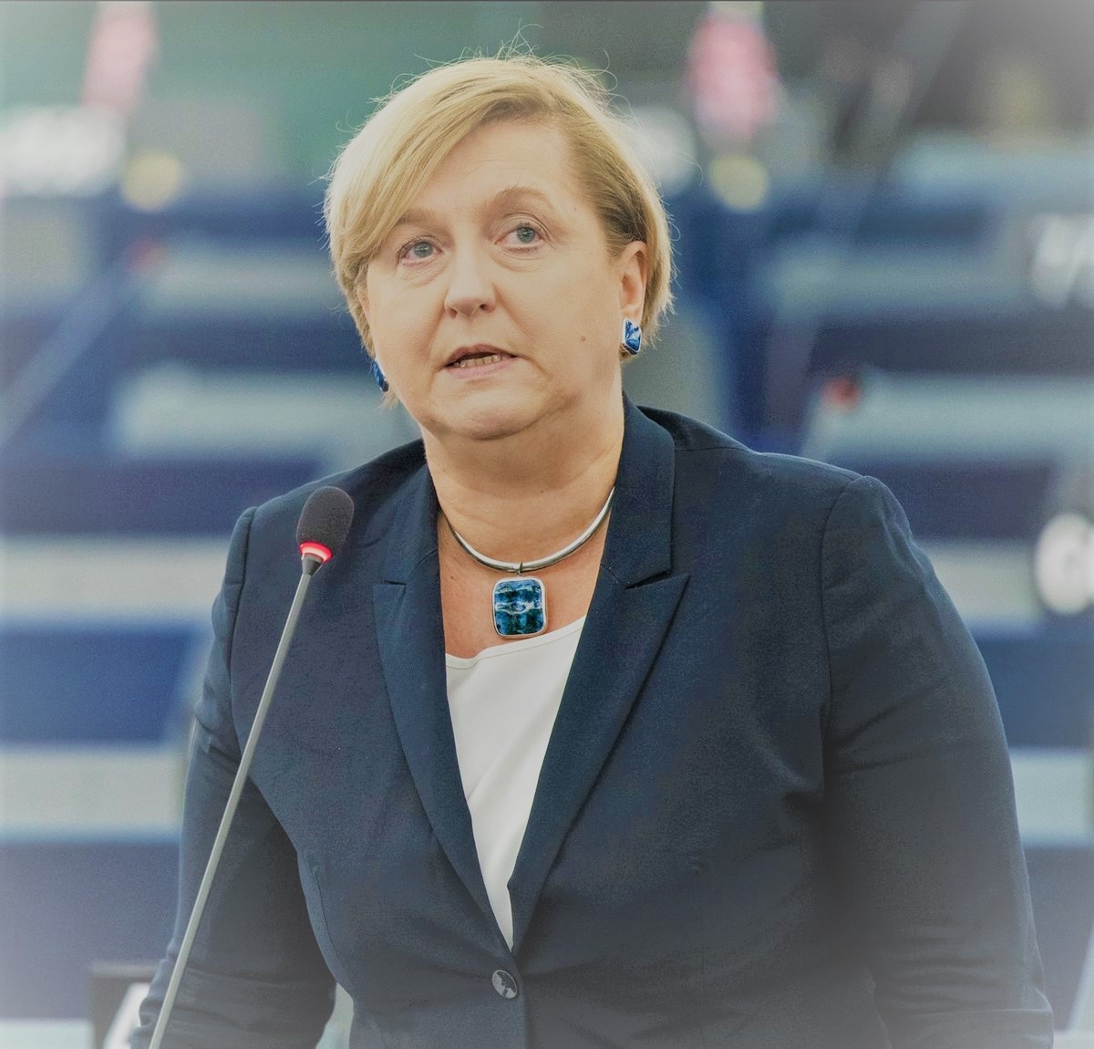Анна Фотыга - депутат Европарламента (Польша)