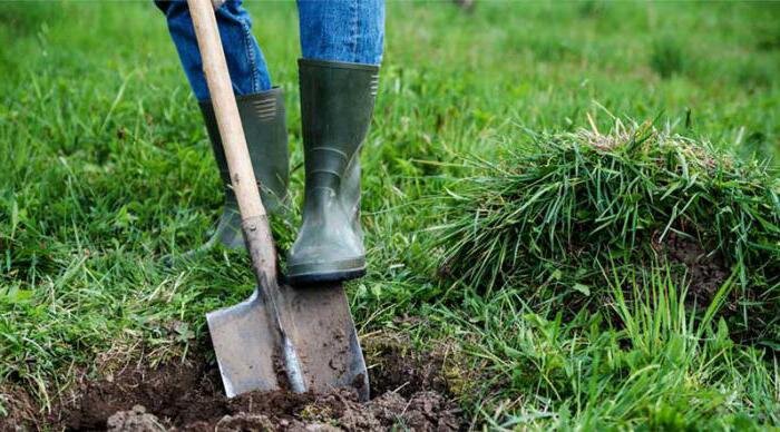 Рис. 1 Давим с пользой (источник: https://www.syl.ru/article/339274/sonnik-kopat-zemlyu-znachenie-i-tolkovanie)