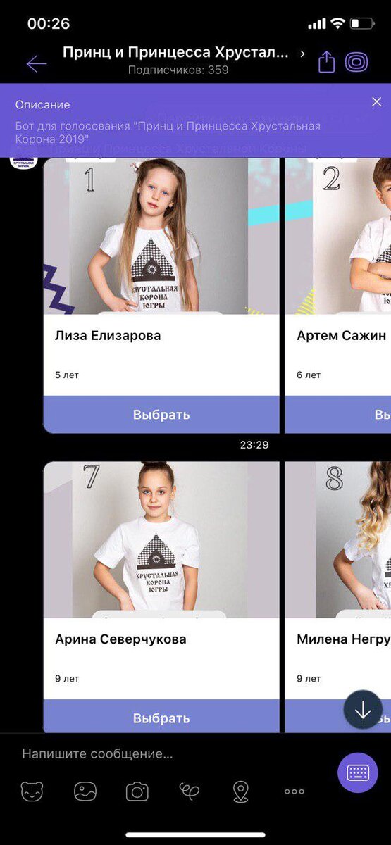 Как выглядит чат-бот