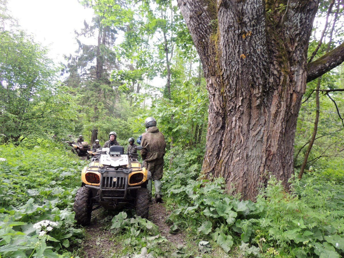 Тур на квадроциклах для новичков 