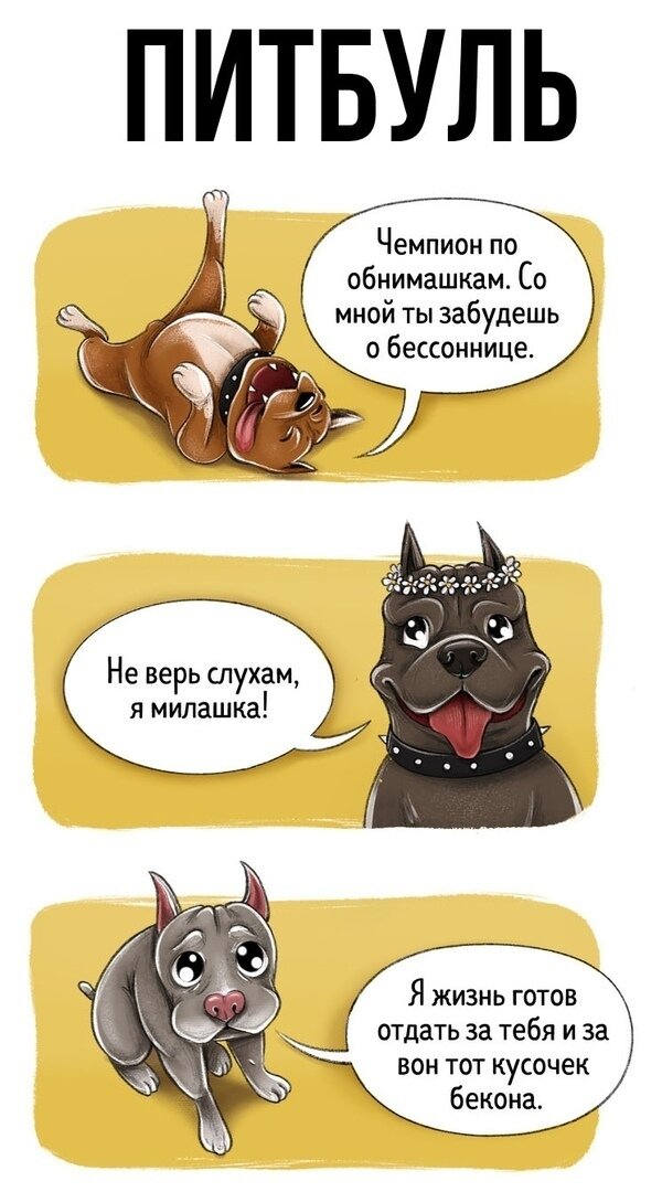 Это все точно про нас! (картинка из сети) ну так немного позитива