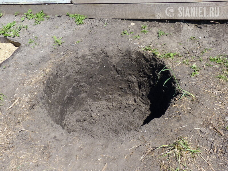 Наши лунки под голубику