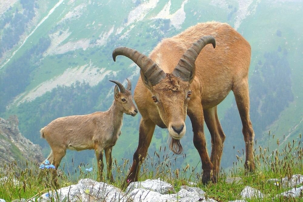 Белоусов Александр