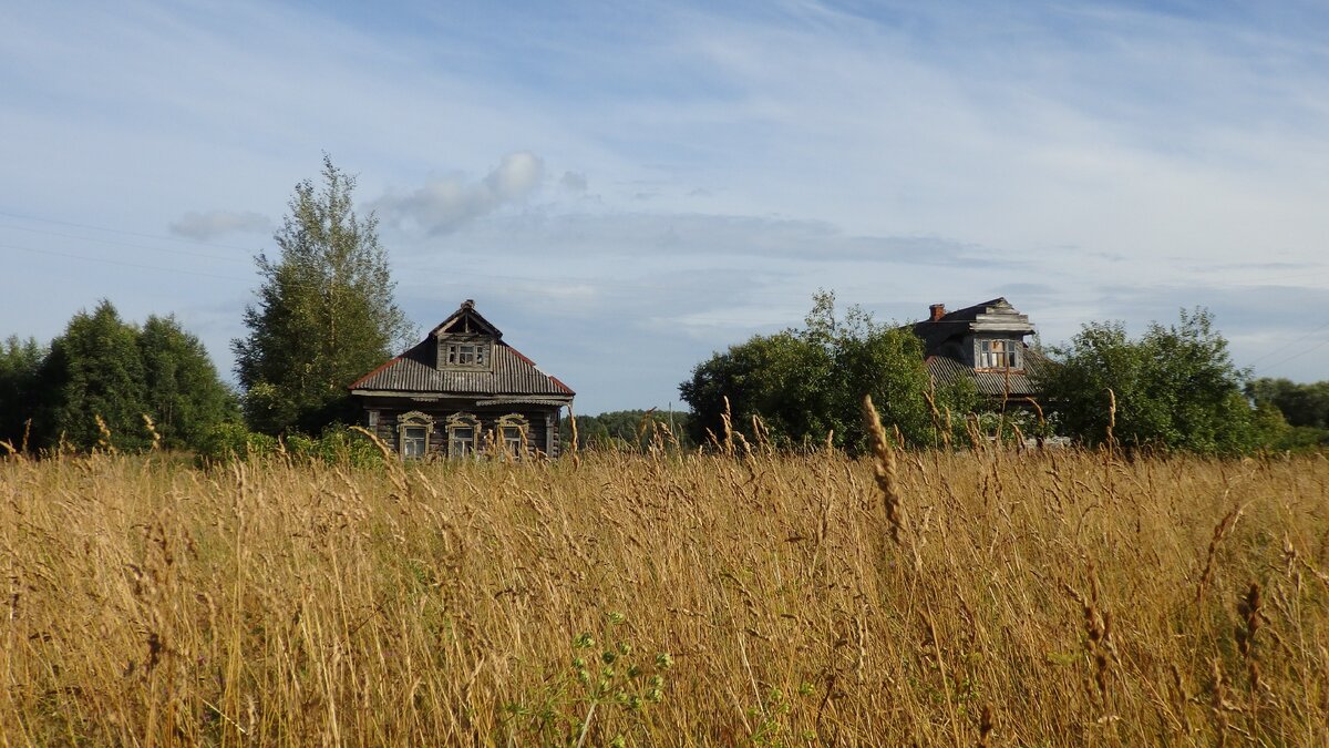 Заброшенные деревни новгородской