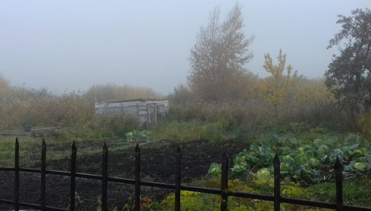 Иногда мы смотрим на ситуацию и начинаем переживать, не видя, что нас ожидает дальше. Эти страхи буквально парализуют нашу волю, поэтому мы начинаем совершать ошибки.