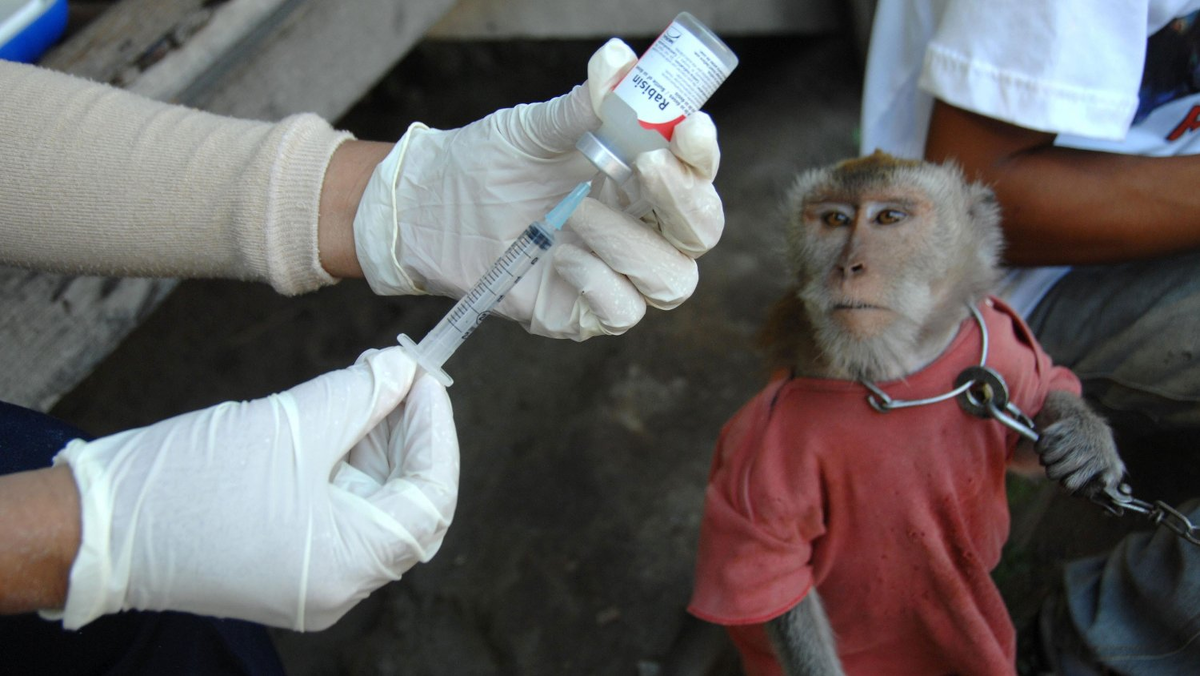 Фото: drlindakatz.com