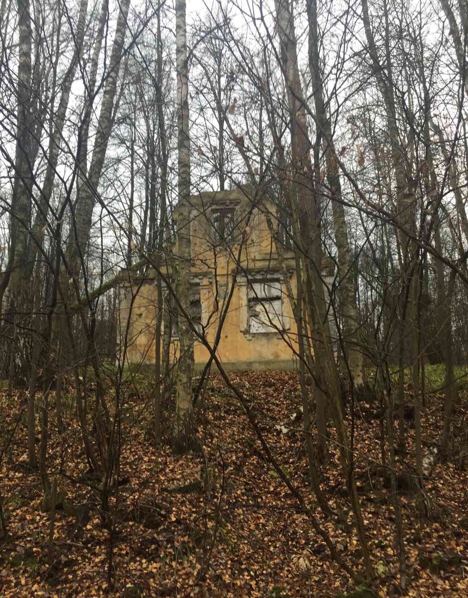 Красные ворота. Одинокий дом в лесу