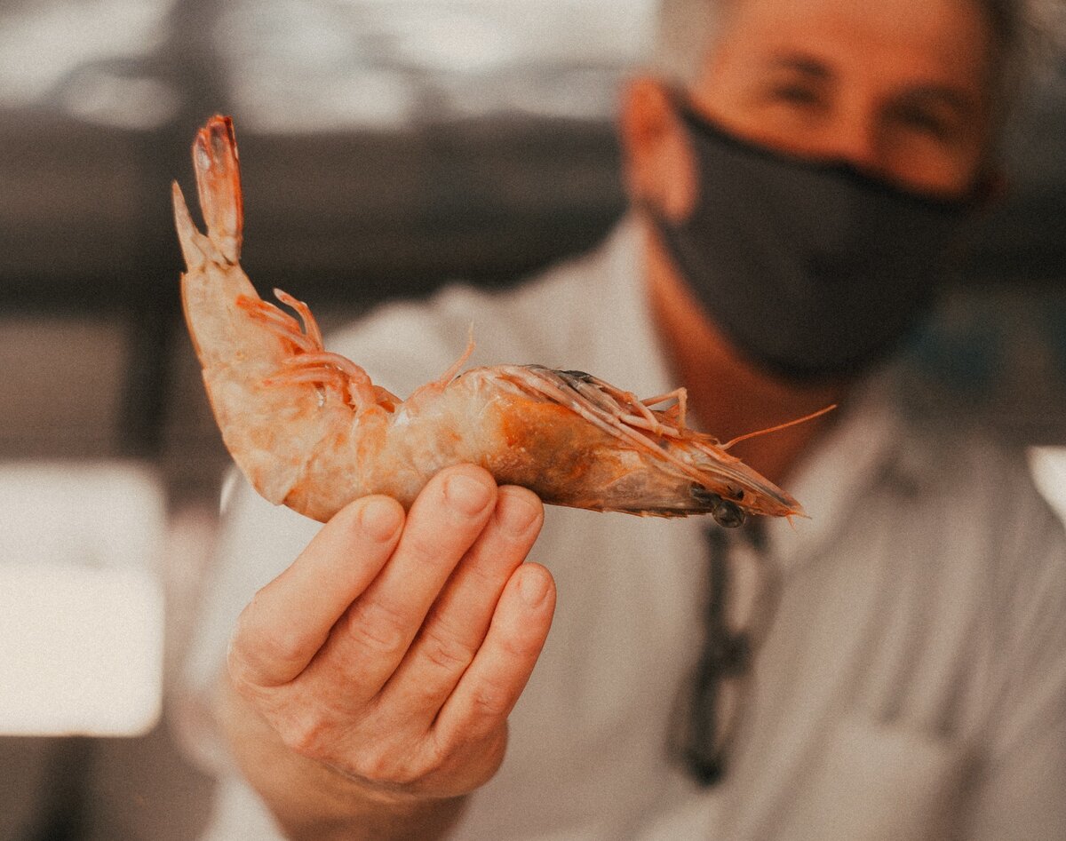 Фото с сайта unsplash.com Ссылка на фото: https://clck.ru/REHrZ Автор: Marcos Paulo Prado