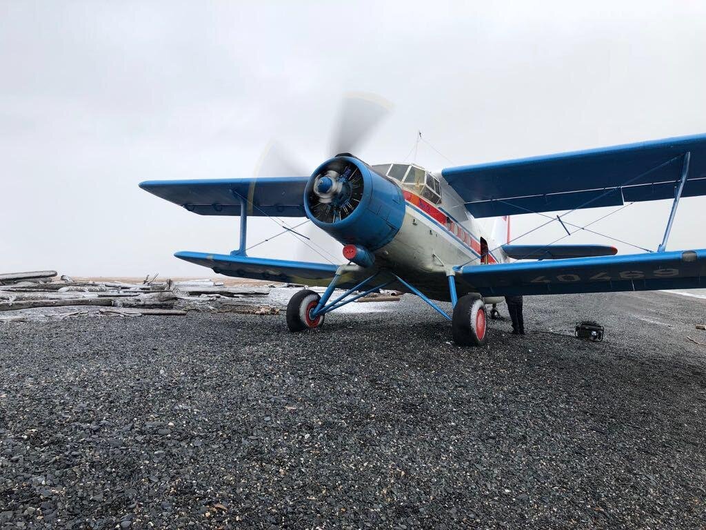 Ан-2 на берегу материка.