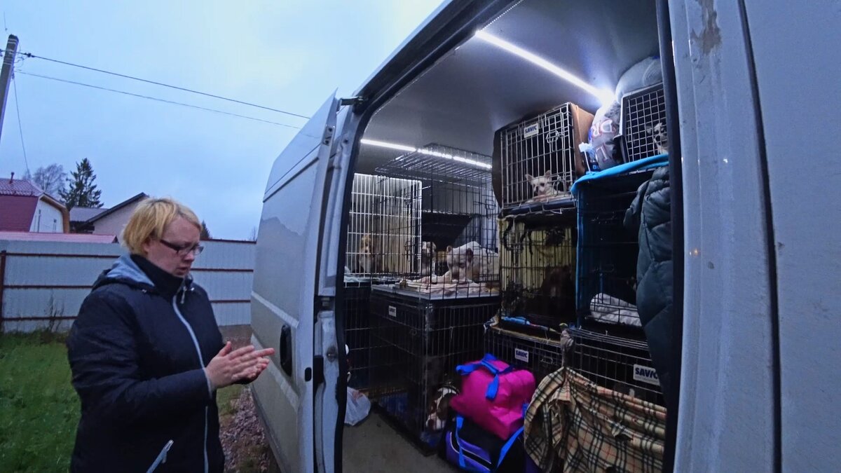 Наш переезд из Питера на юг