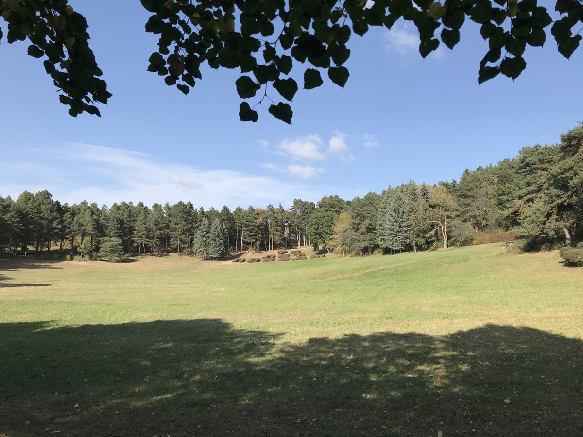 Наш любимый парк Кисловодска . Фото автора