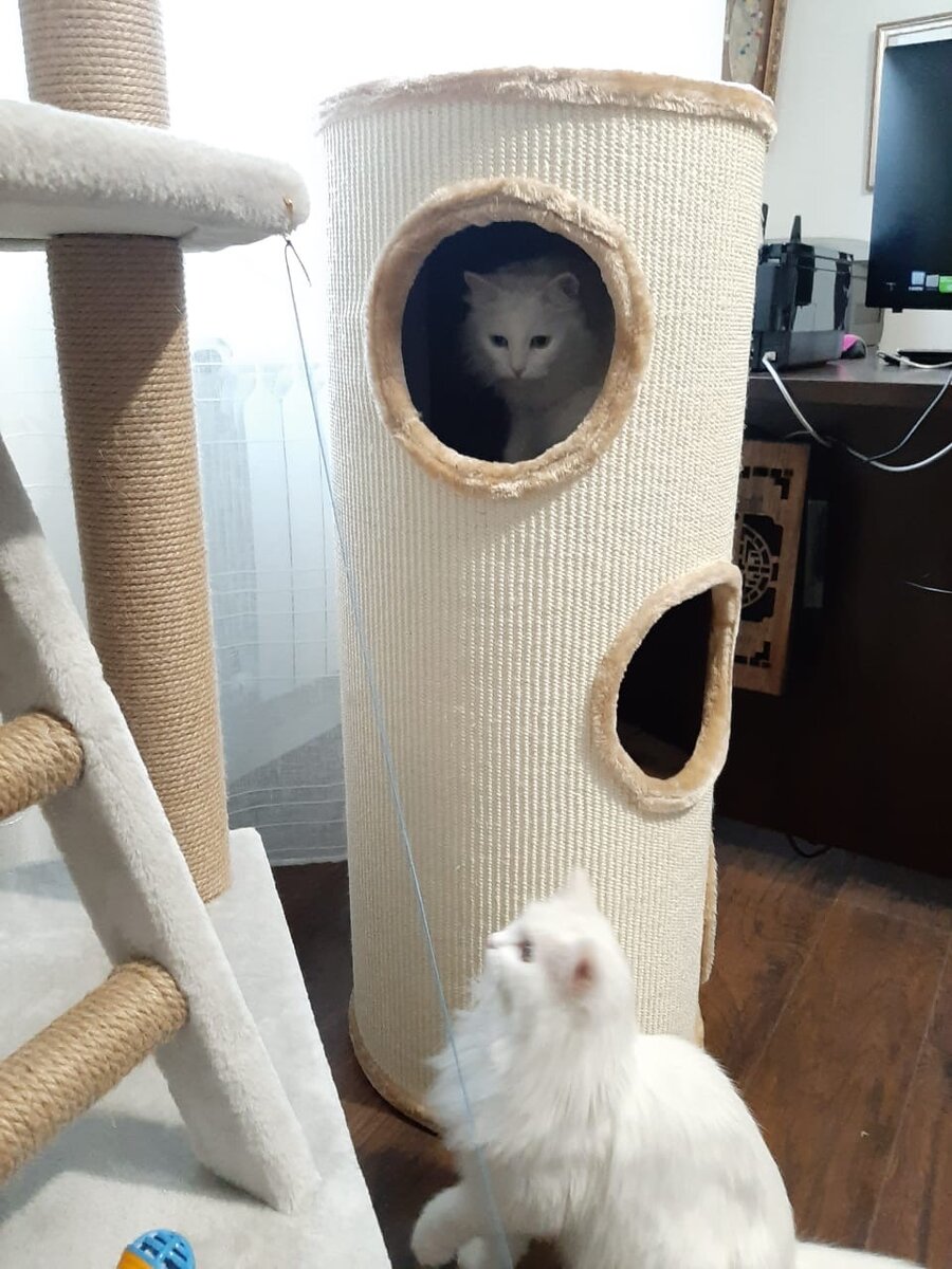 Маня и Тина играют в домике