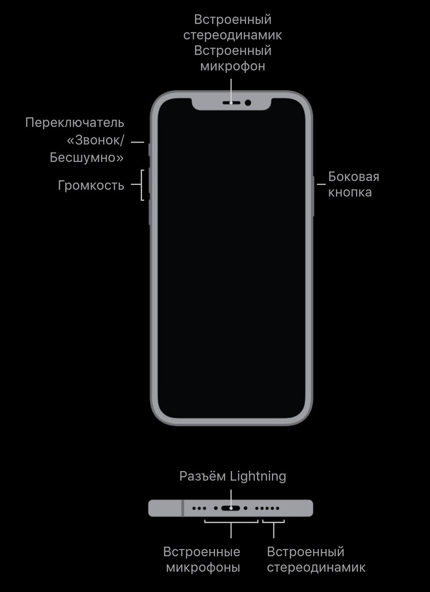 Внешний вид iphone 12