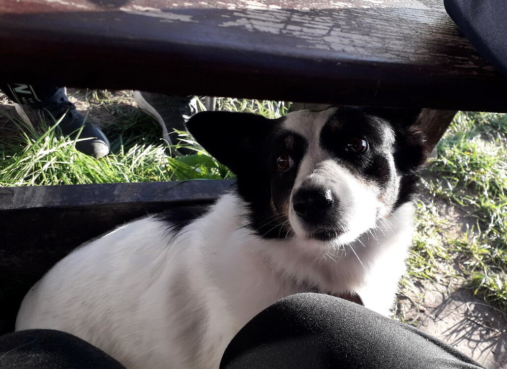 Мониторинг из-под стола)