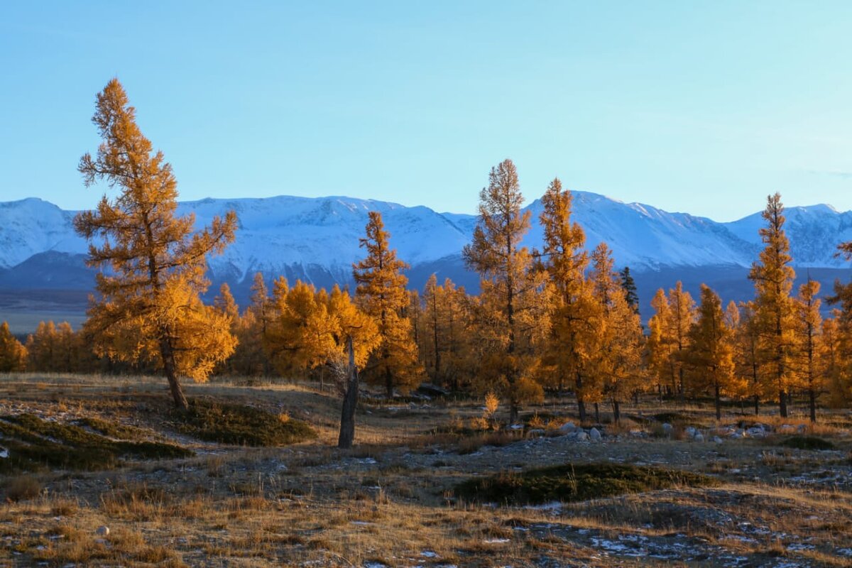 Фото из личного архива. Недалеко от с. Курай