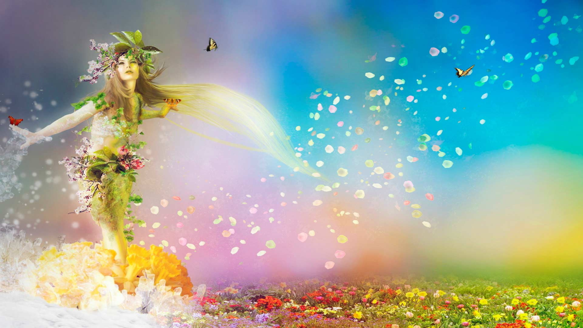 фотография взята из открытых источников сети Интернет