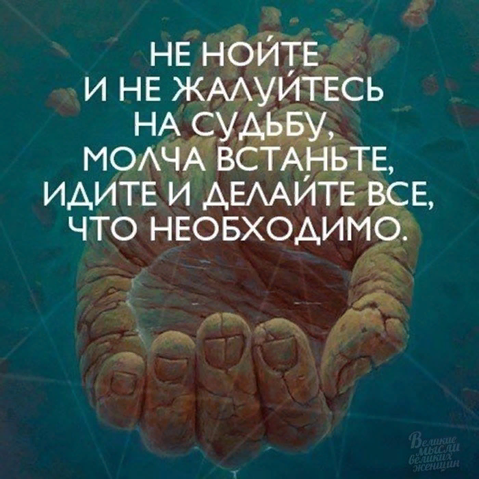 Молчи и вставай. Не жалуйтесь на судьбу цитаты. Иди и делай. Ныть афоризмы. Цитаты про нытье.