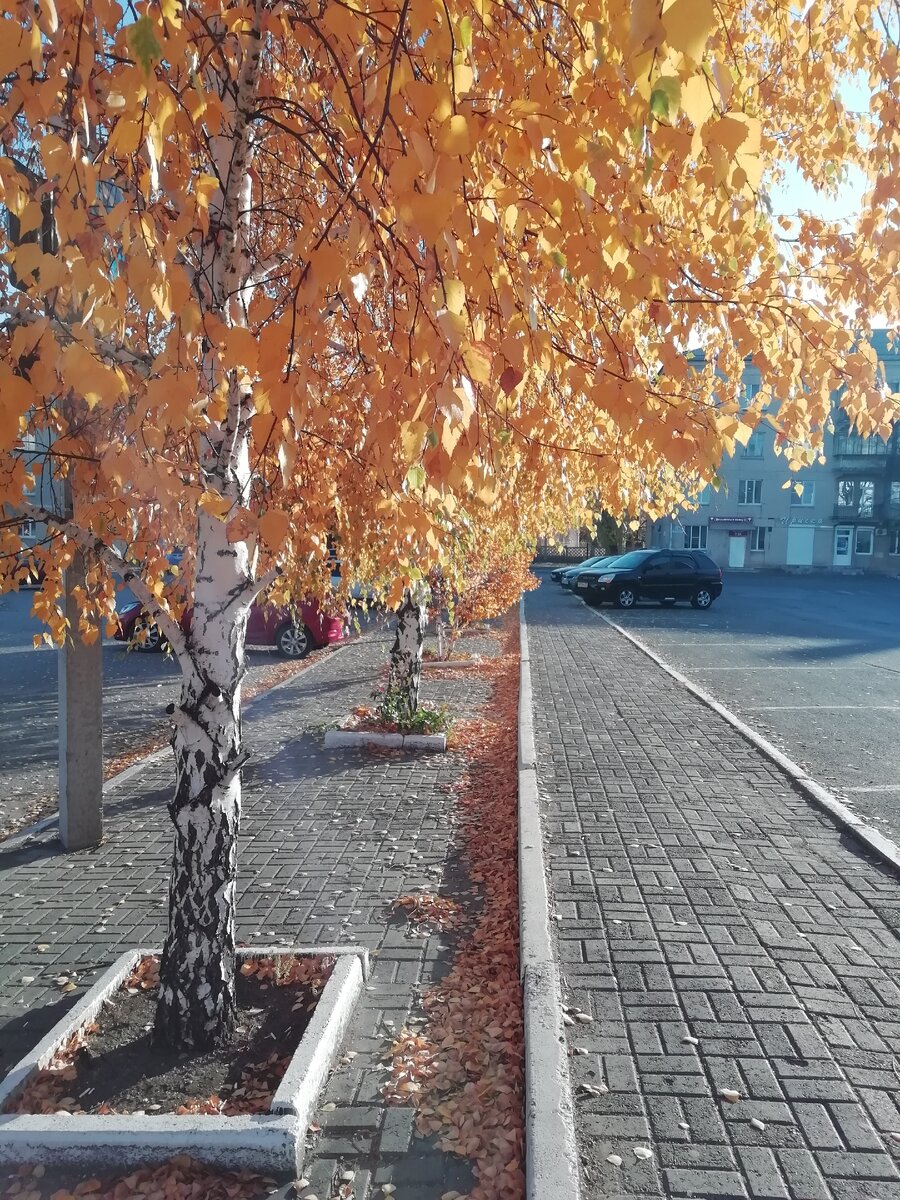 Жизнь это длинная дорога, какая она будет никто не знает. 