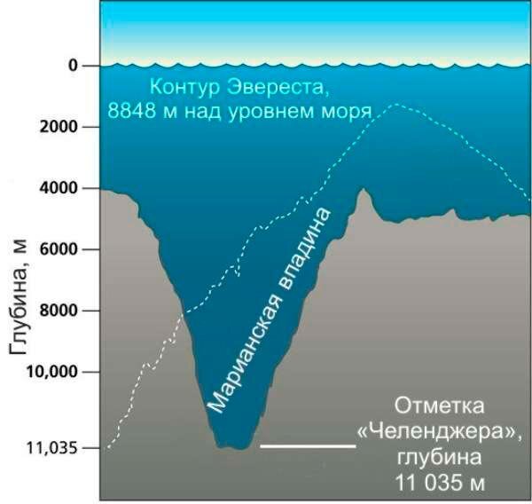 Первое погружение человека на дно Марианского жёлоба было совершено 23 января 1960 года. В 2009 году Марианская впадина была признана национальным памятником США.