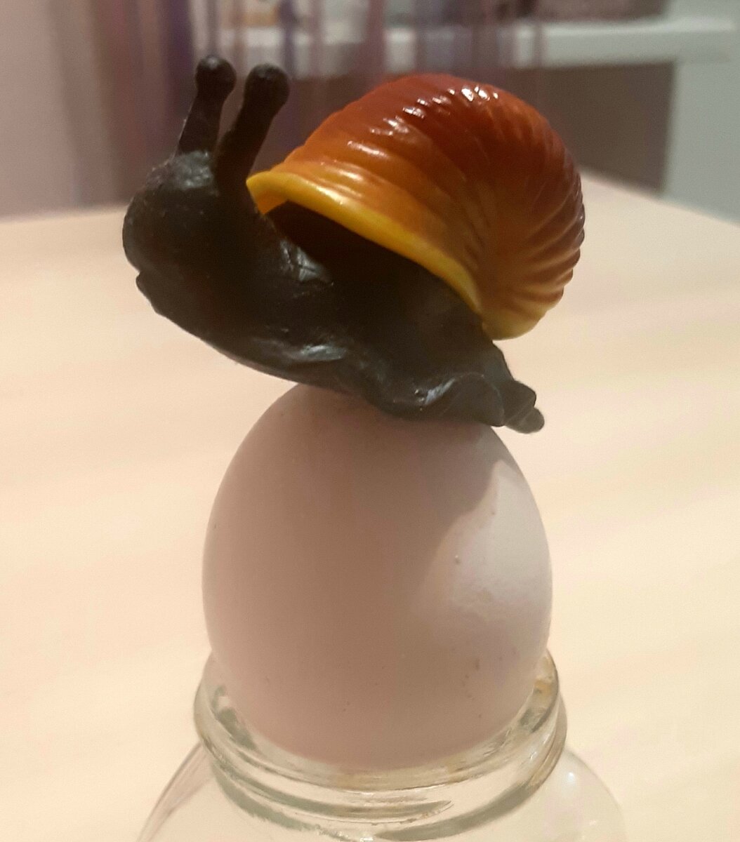 Мое постановочное фото. Я просто мастер инсталляции😂