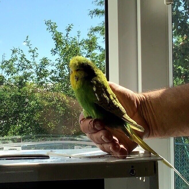 ВВП у нас дома