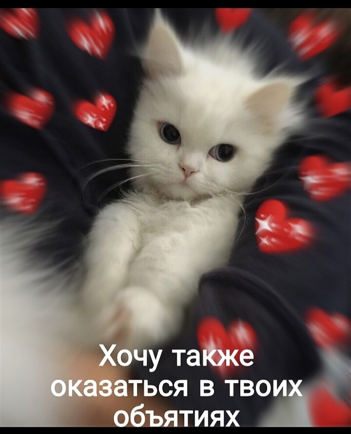 Было-бы не плохо 😏