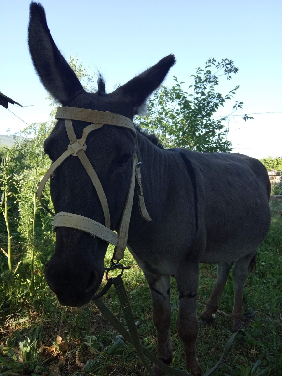 Знакомство