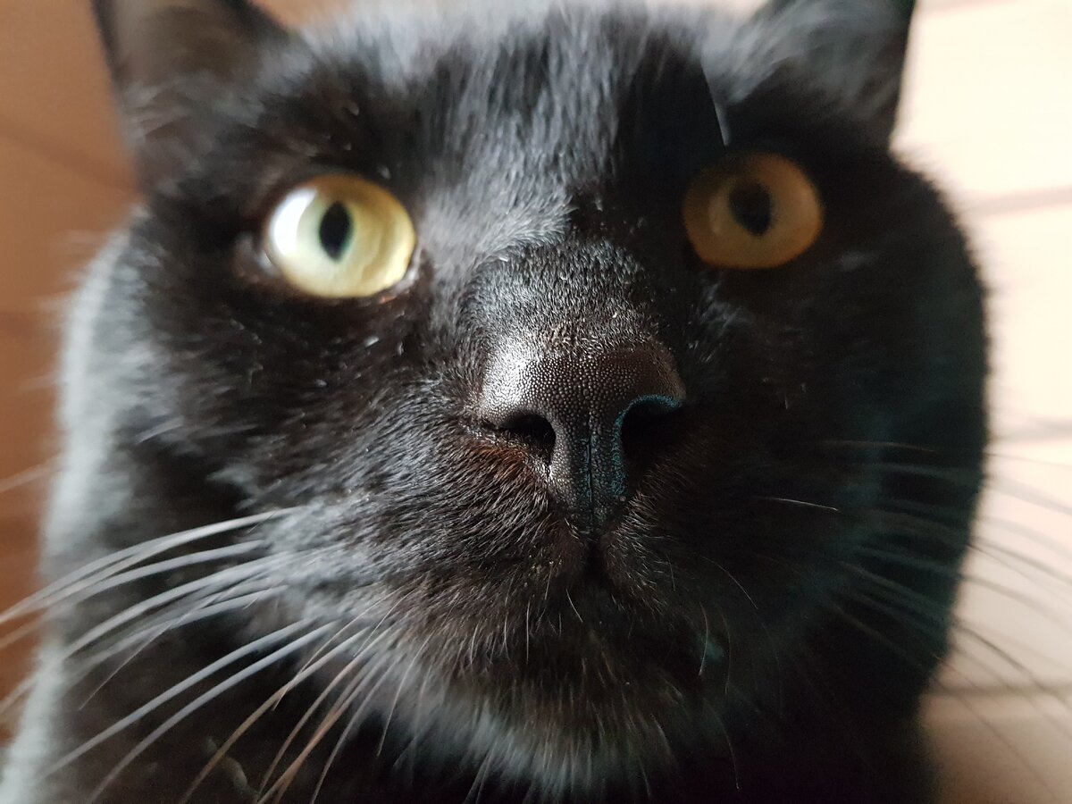 Мишка 2,5 года.