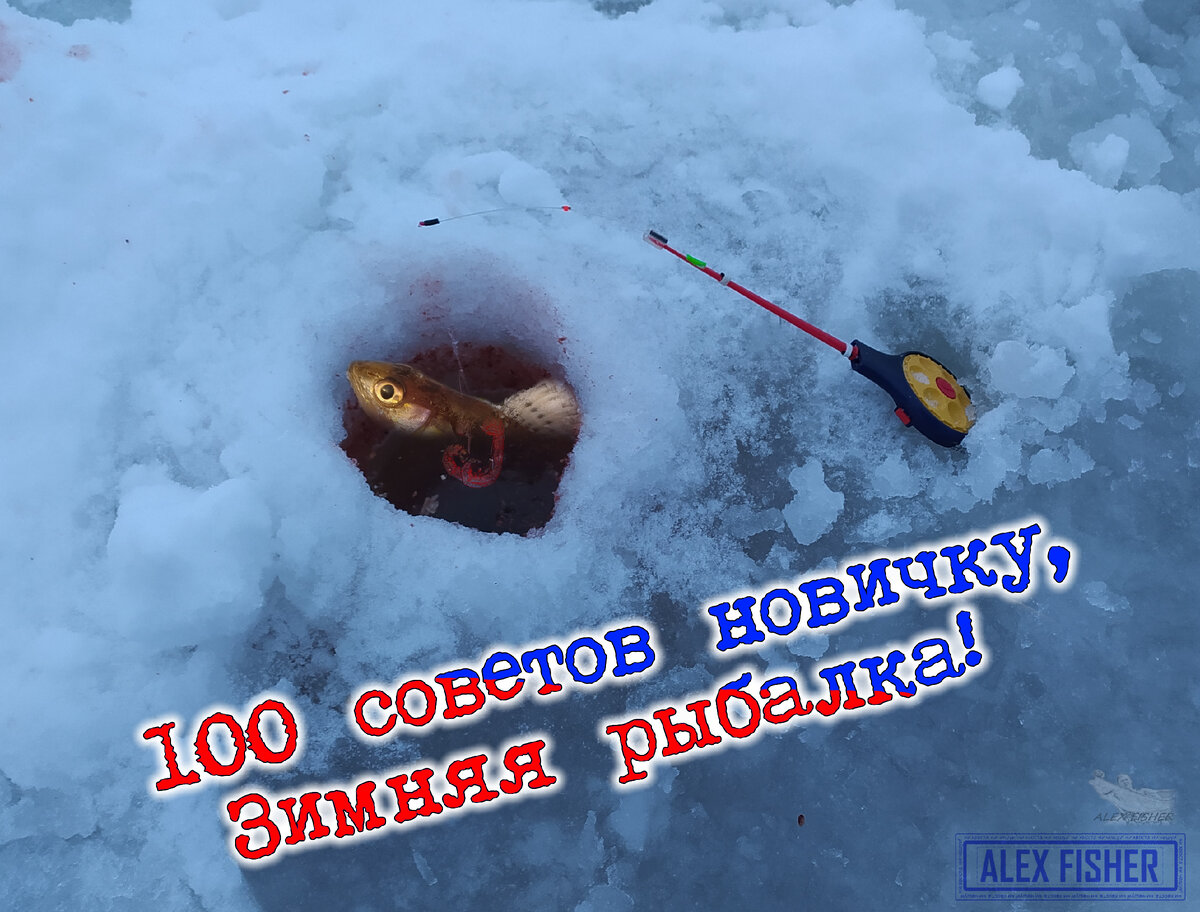 100 советов