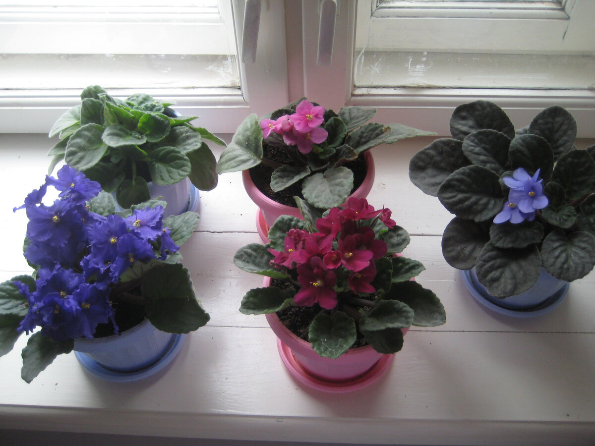 Уютной Вам весны!