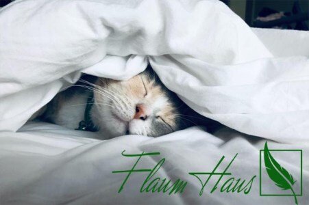 Anna Flaum Flaum Haus