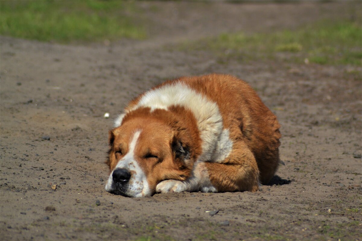 фото из личного архива